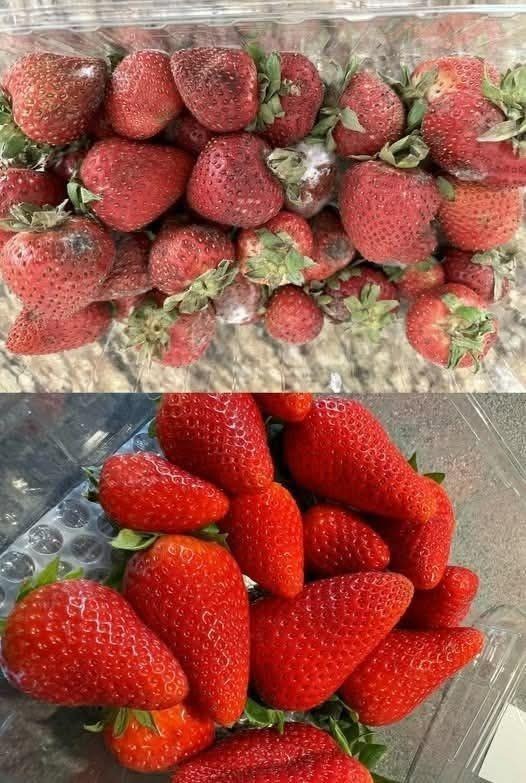How to Keep Strawberries Fresh for Longer: 7 Proven Tips to Prevent Mold and Spoilage