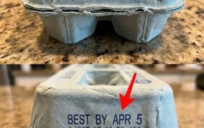 What the Numbers on Your Egg Carton Really Mean — And Why Ignoring Them Could Make You Sick