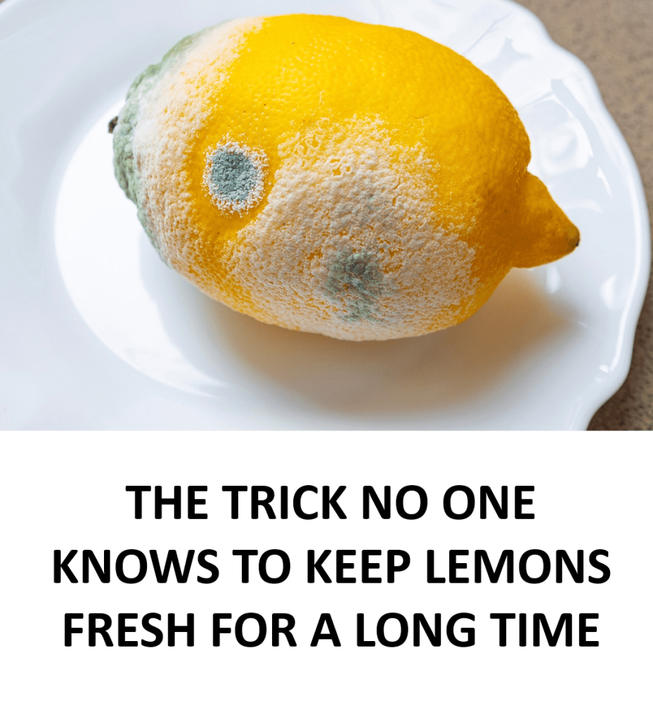 How to Keep Lemons Fresh Longer and Prevent Mold