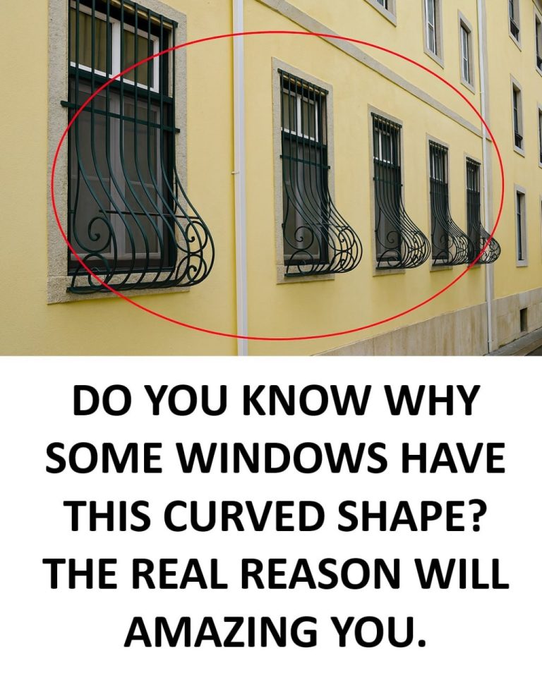 Why Do Some Windows Have Curved Exterior Grilles? Here’s What They Really Do