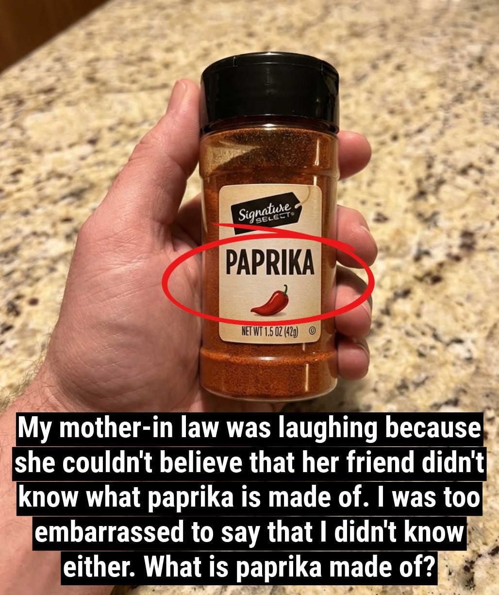 What Is Paprika Made Of?