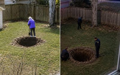 I Thought My Neighbor Was Just Obsessed With Gardening until..