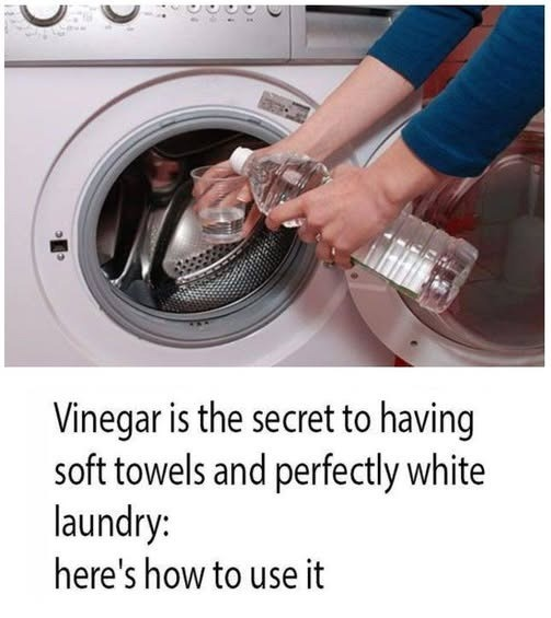 Vinegar is the key to whiter whites and softer towels, but most use it wrong. Here’s the right way to use it