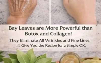 Bay Leaves for Skin Care