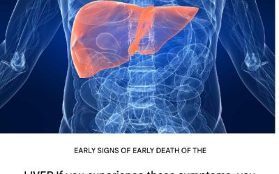 Think you’re in good health? Your liver might disagree… Don’t ignore these 12 hidden warning signs!