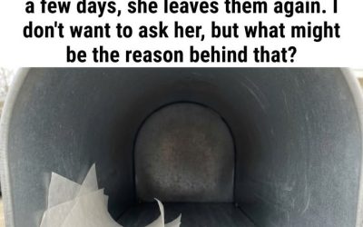 What It Means If You Find a Dryer Sheet in Your Mailbox (And Why You Should Leave It There)