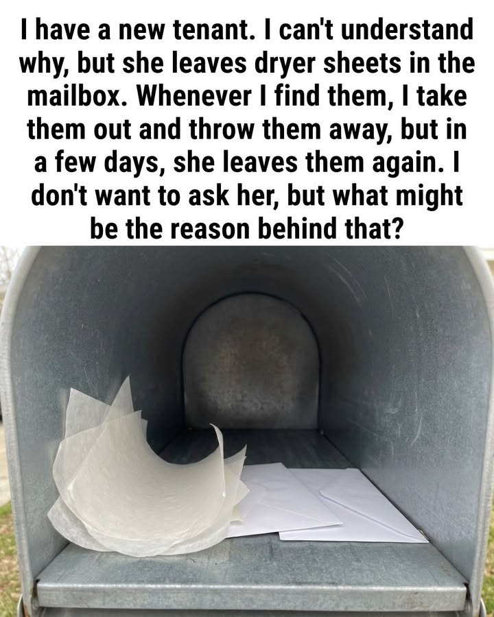 What It Means If You Find a Dryer Sheet in Your Mailbox (And Why You Should Leave It There)