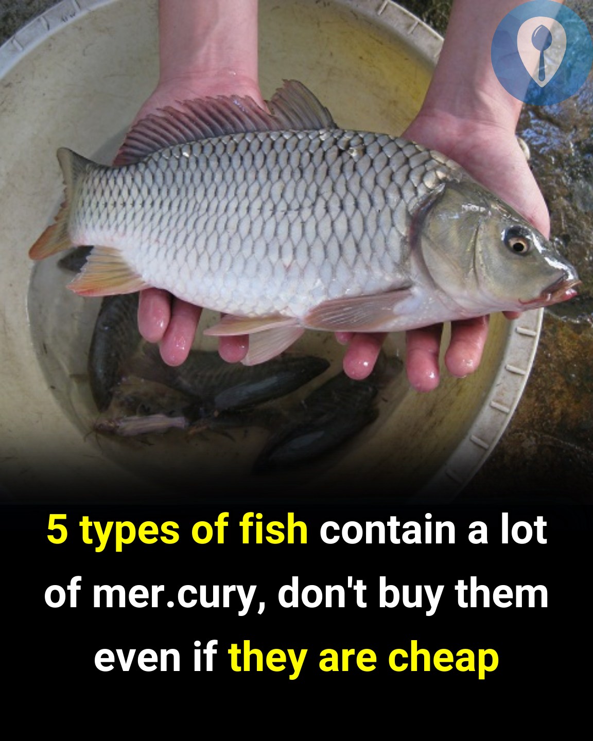 8 Types of Fish You Should Think Twice About Eating – Even When They’re Cheap