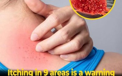 These 9 Unusual Itching Symptoms Could Be Your Body’s Way of Signaling Underlying Illness…👇👇👇